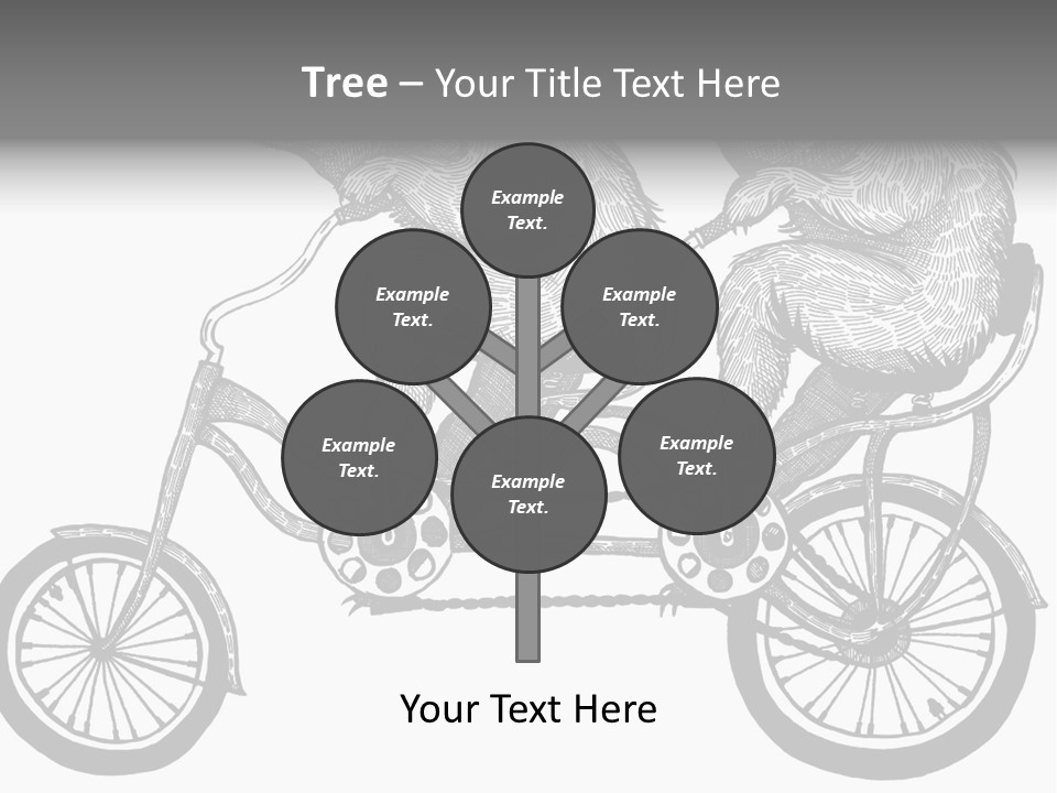 Two Bears Riding On A Bicycle With A Silver Background PowerPoint Template