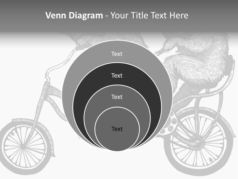 Two Bears Riding On A Bicycle With A Silver Background PowerPoint Template