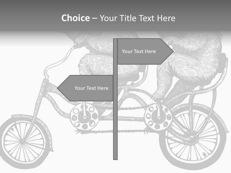 Two Bears Riding On A Bicycle With A Silver Background PowerPoint Template