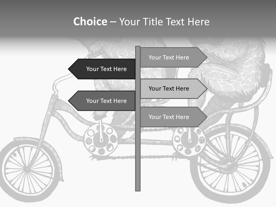 Two Bears Riding On A Bicycle With A Silver Background PowerPoint Template