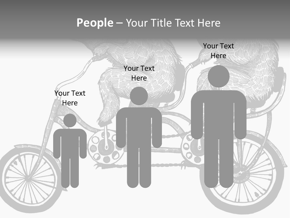 Two Bears Riding On A Bicycle With A Silver Background PowerPoint Template