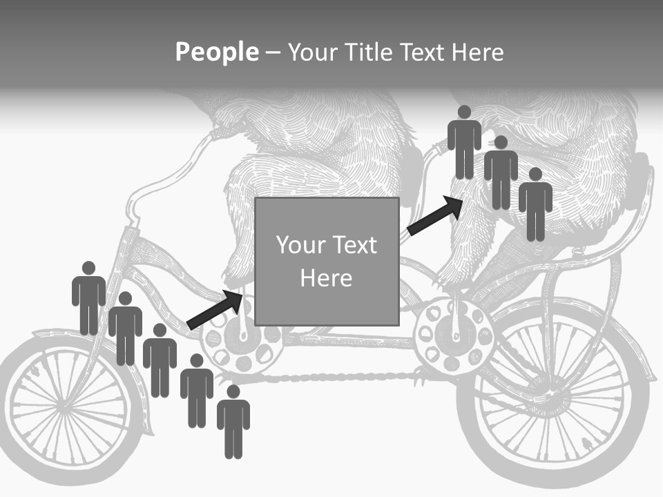 Two Bears Riding On A Bicycle With A Silver Background PowerPoint Template