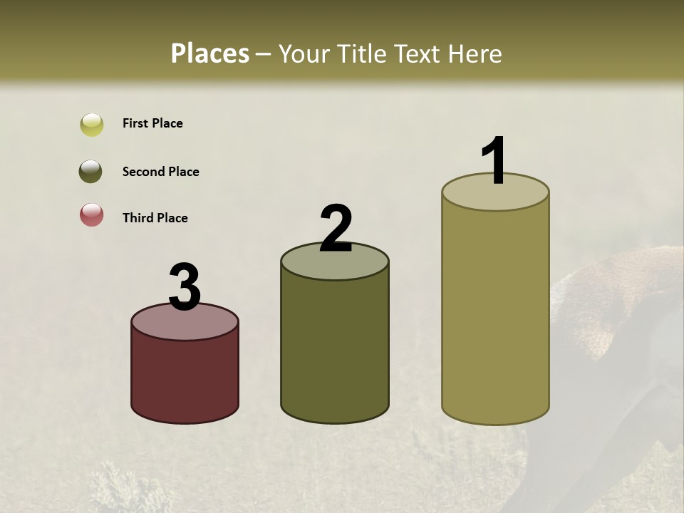 A Gazelle Standing In The Middle Of A Field PowerPoint Template