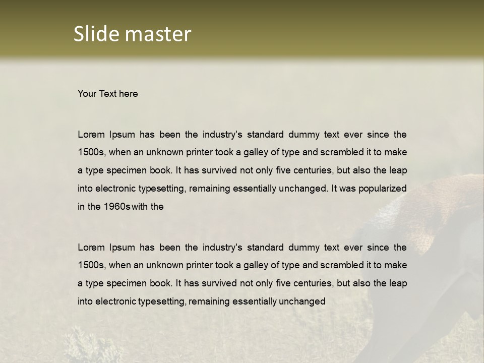 A Gazelle Standing In The Middle Of A Field PowerPoint Template