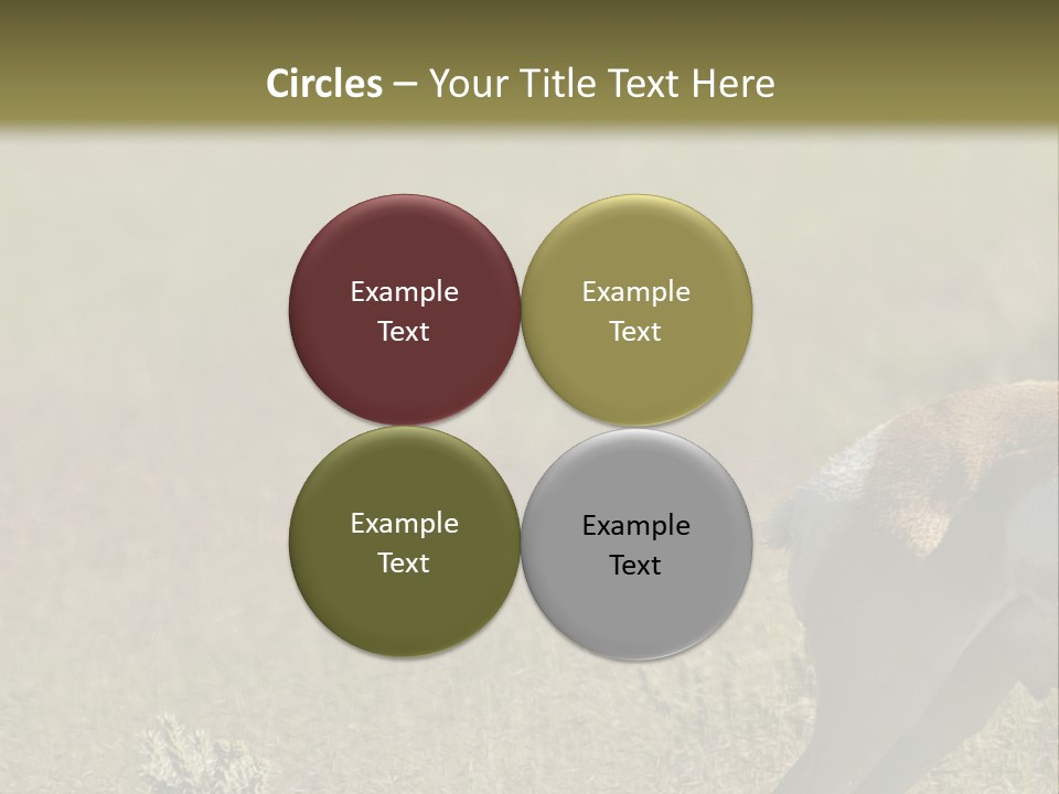 A Gazelle Standing In The Middle Of A Field PowerPoint Template