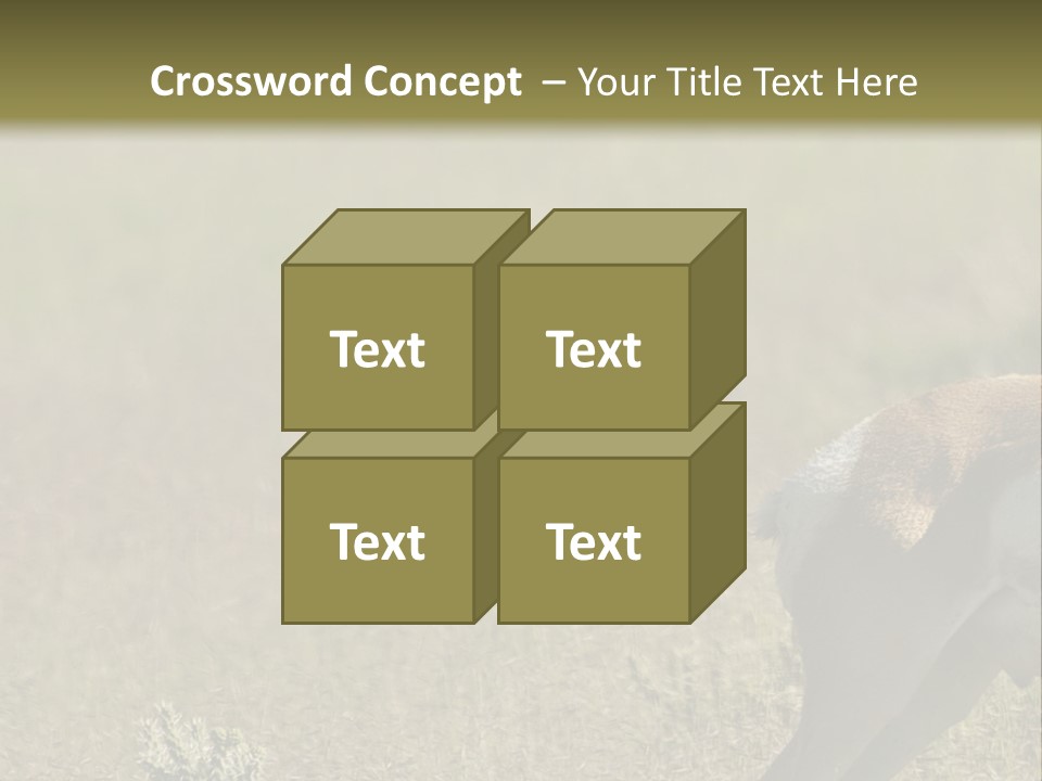 A Gazelle Standing In The Middle Of A Field PowerPoint Template