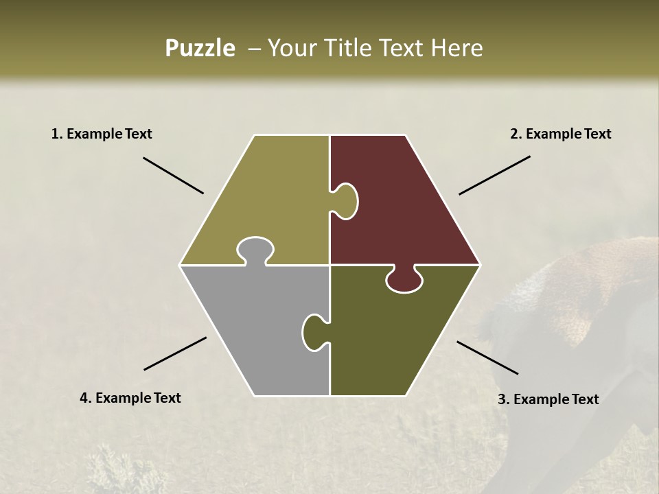 A Gazelle Standing In The Middle Of A Field PowerPoint Template