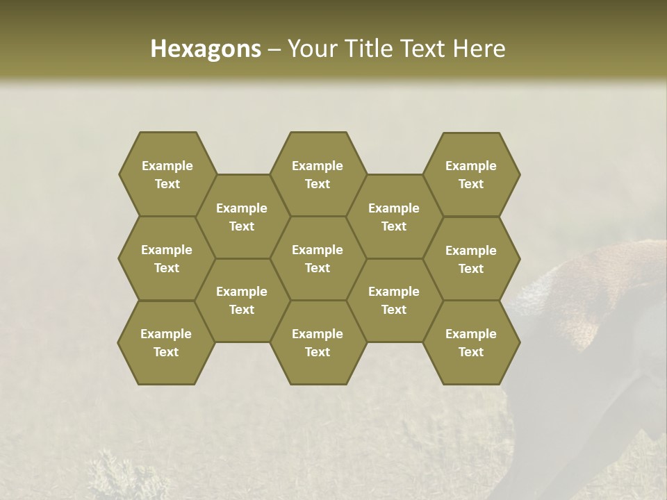 A Gazelle Standing In The Middle Of A Field PowerPoint Template