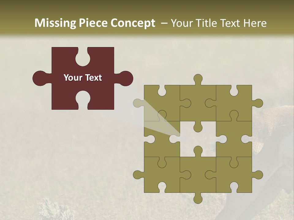 A Gazelle Standing In The Middle Of A Field PowerPoint Template