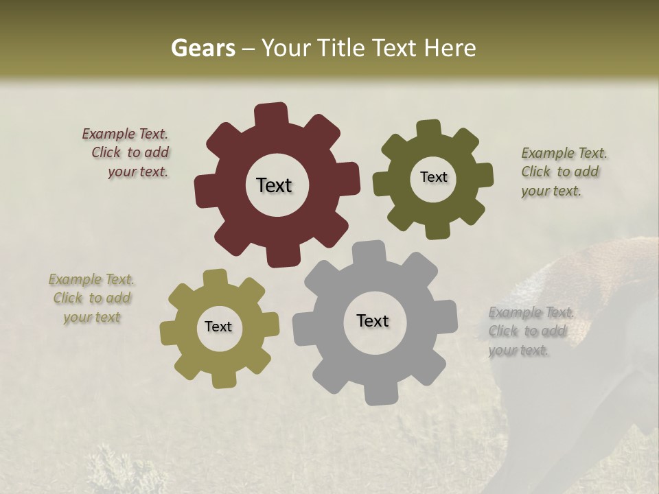 A Gazelle Standing In The Middle Of A Field PowerPoint Template