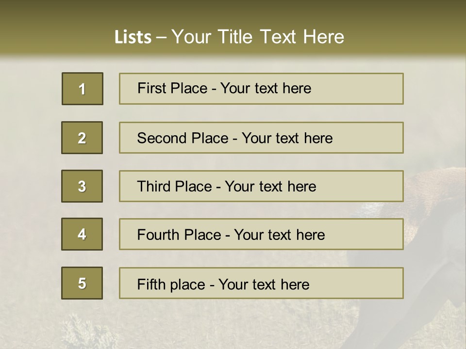 A Gazelle Standing In The Middle Of A Field PowerPoint Template