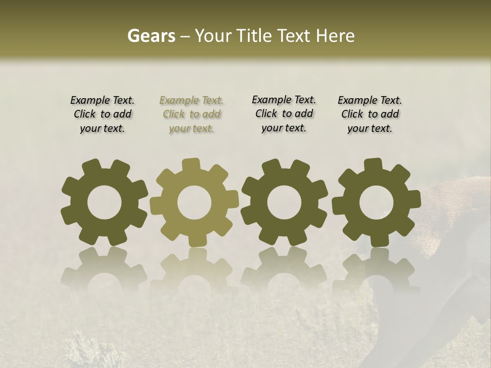 A Gazelle Standing In The Middle Of A Field PowerPoint Template