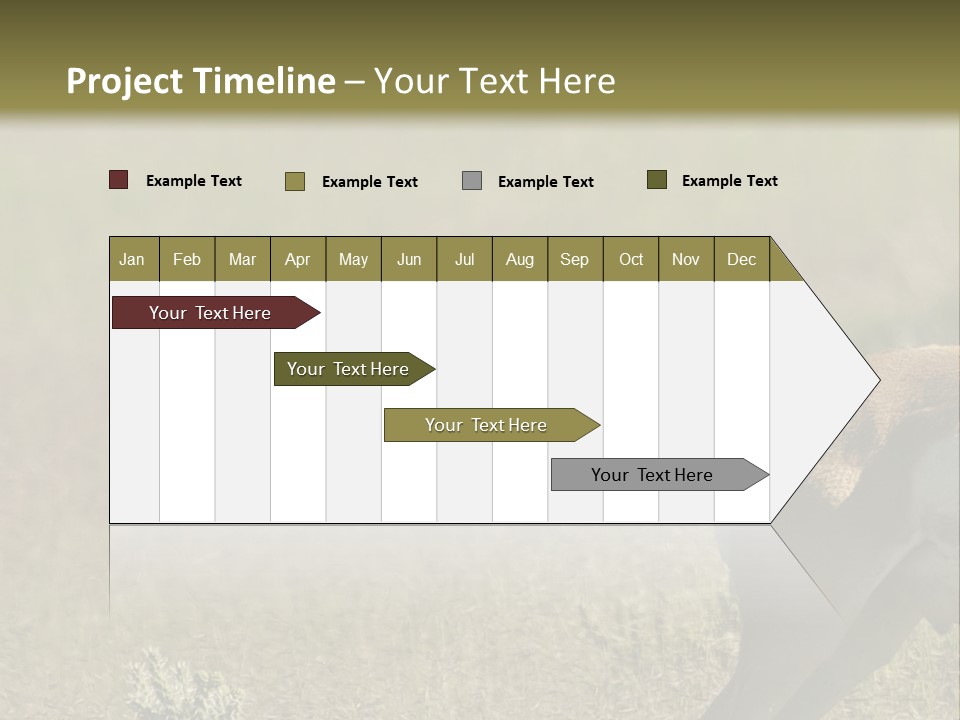 A Gazelle Standing In The Middle Of A Field PowerPoint Template