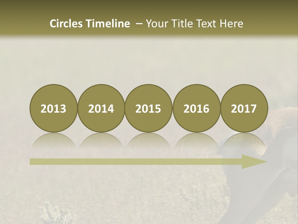 A Gazelle Standing In The Middle Of A Field PowerPoint Template