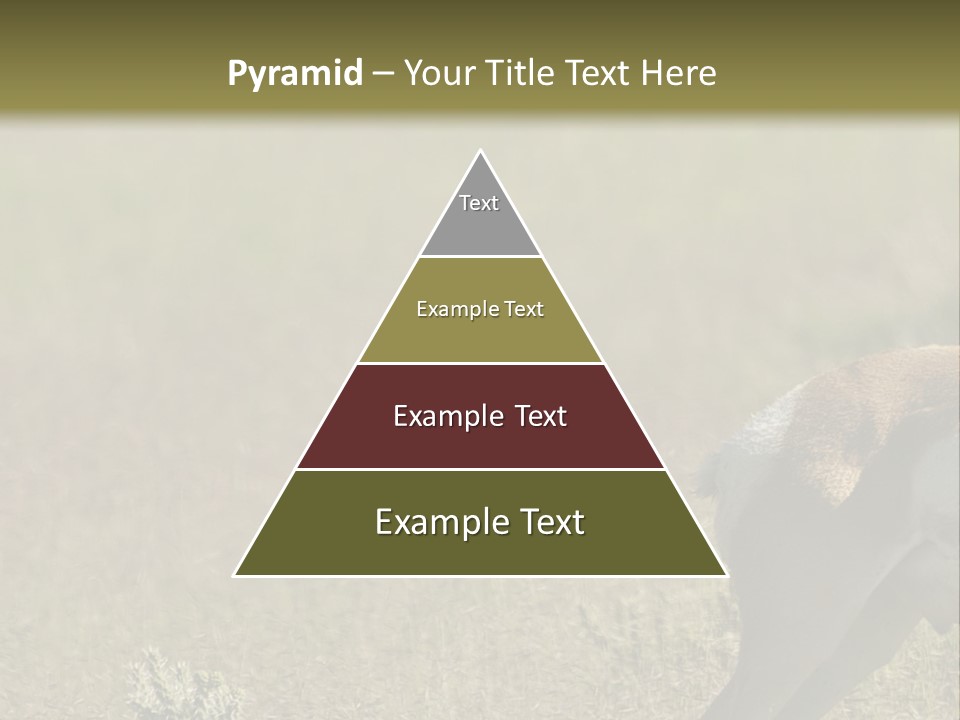 A Gazelle Standing In The Middle Of A Field PowerPoint Template