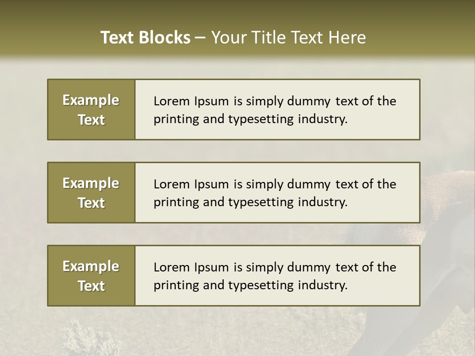 A Gazelle Standing In The Middle Of A Field PowerPoint Template