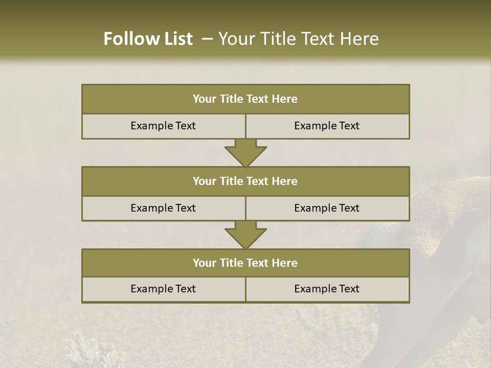 A Gazelle Standing In The Middle Of A Field PowerPoint Template