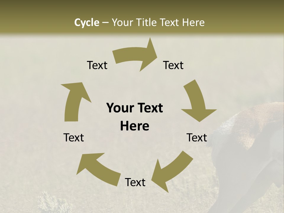 A Gazelle Standing In The Middle Of A Field PowerPoint Template