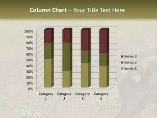 A Gazelle Standing In The Middle Of A Field PowerPoint Template