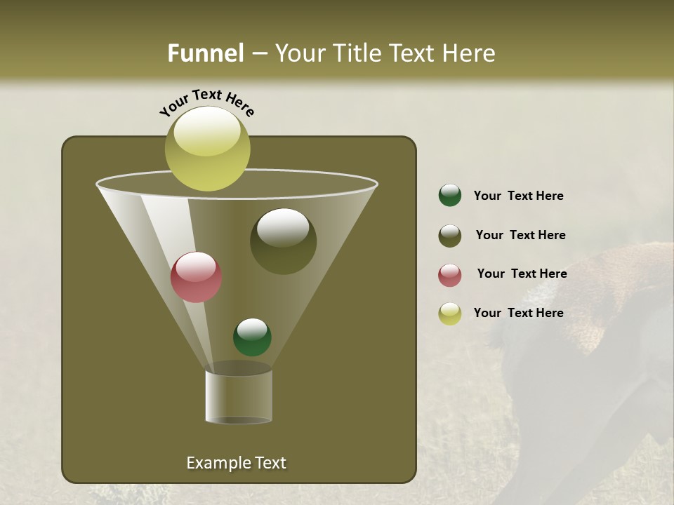 A Gazelle Standing In The Middle Of A Field PowerPoint Template