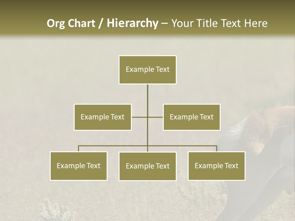 A Gazelle Standing In The Middle Of A Field PowerPoint Template