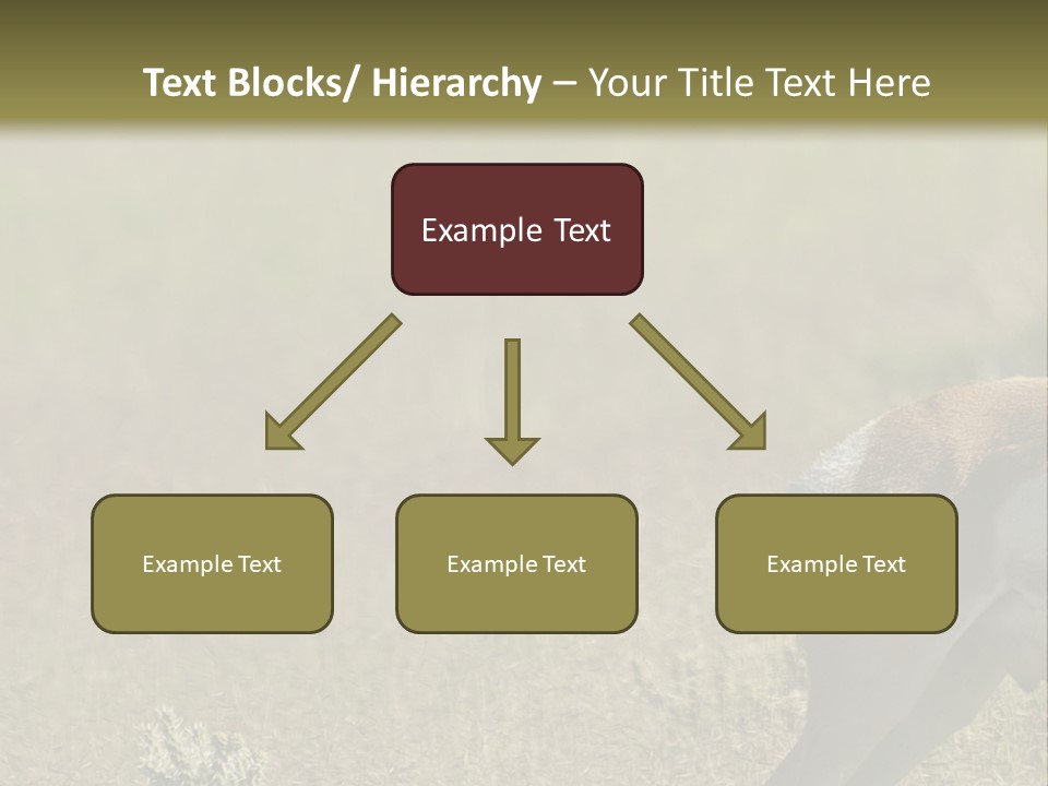 A Gazelle Standing In The Middle Of A Field PowerPoint Template