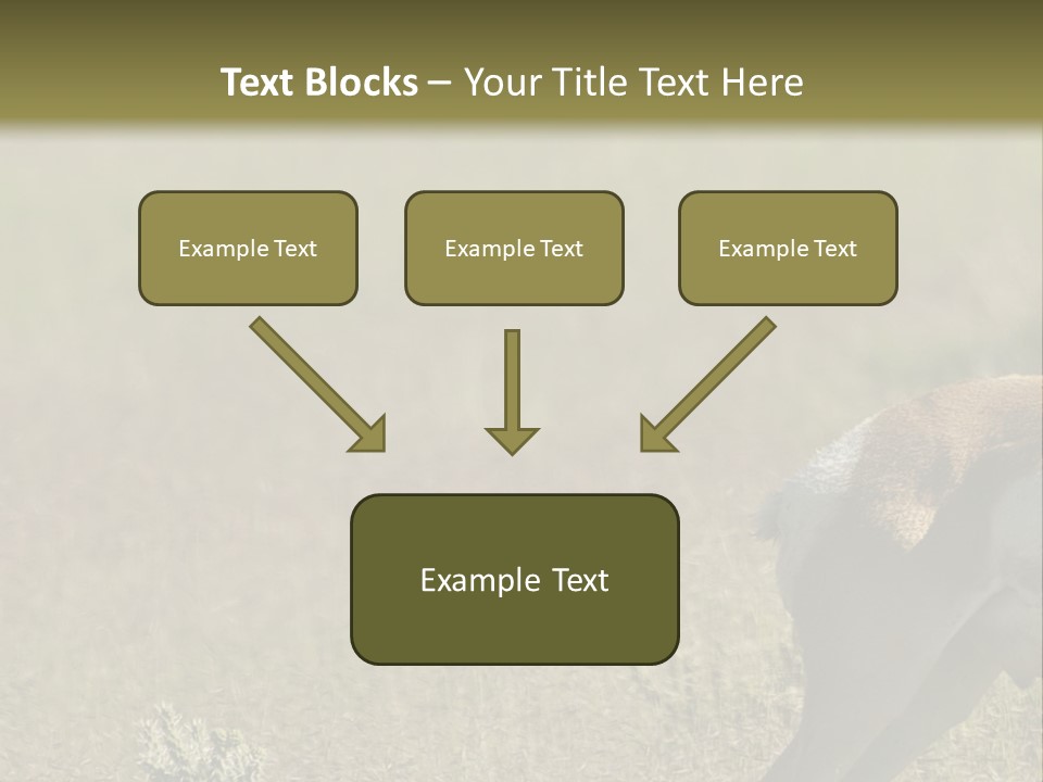 A Gazelle Standing In The Middle Of A Field PowerPoint Template