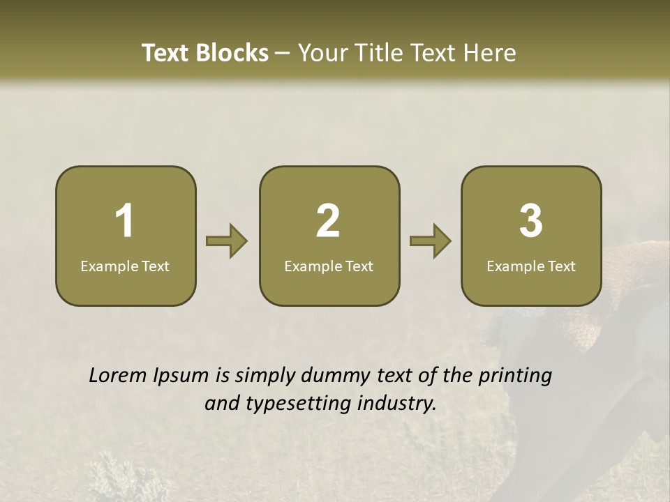 A Gazelle Standing In The Middle Of A Field PowerPoint Template
