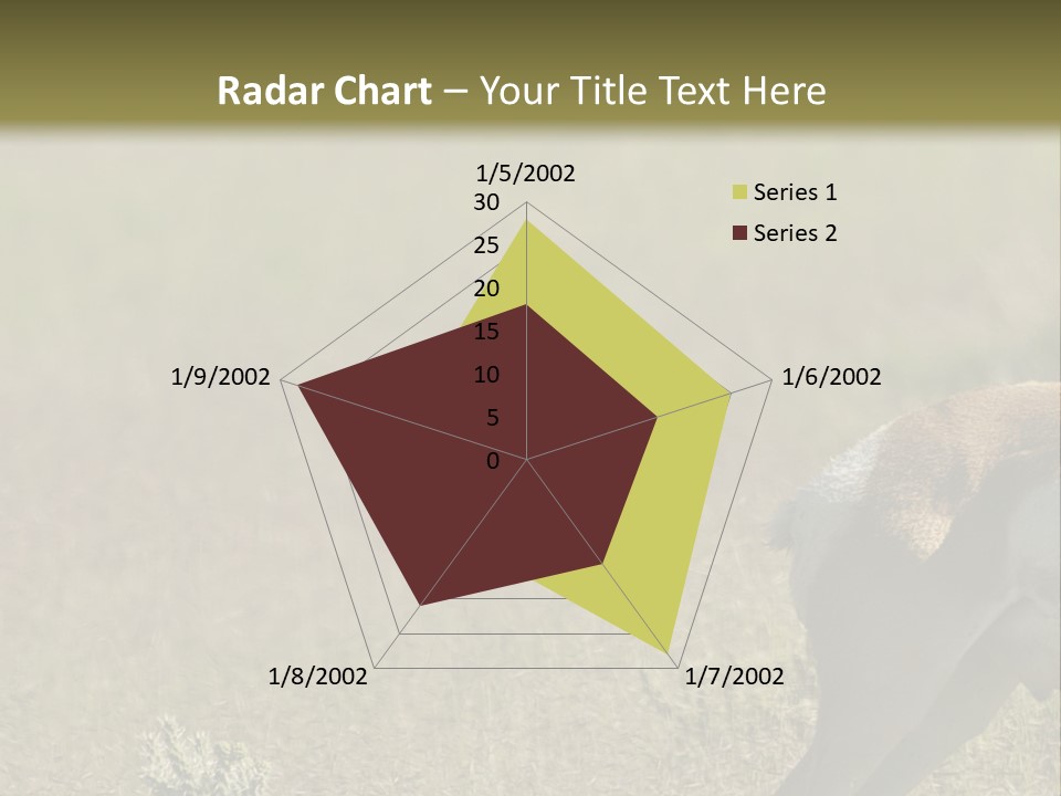 A Gazelle Standing In The Middle Of A Field PowerPoint Template
