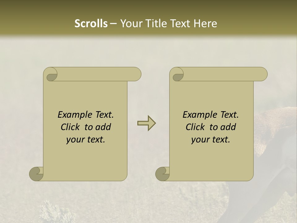 A Gazelle Standing In The Middle Of A Field PowerPoint Template