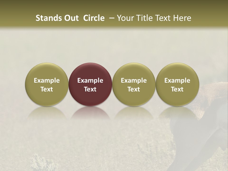 A Gazelle Standing In The Middle Of A Field PowerPoint Template