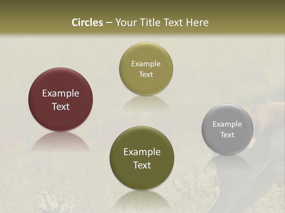 A Gazelle Standing In The Middle Of A Field PowerPoint Template