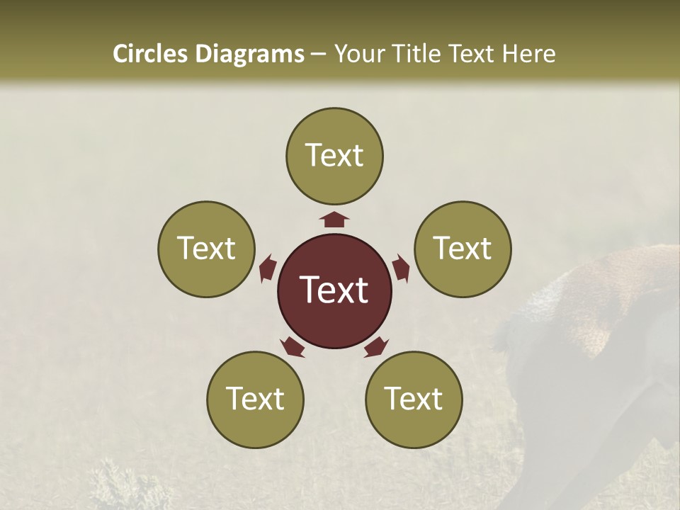 A Gazelle Standing In The Middle Of A Field PowerPoint Template