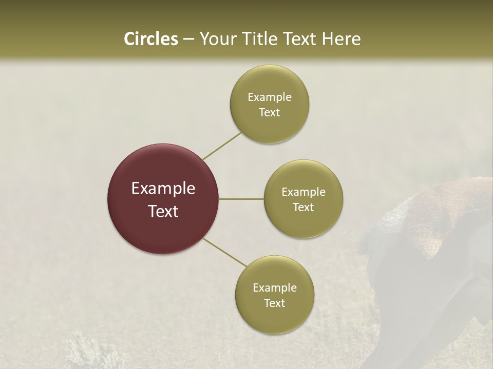 A Gazelle Standing In The Middle Of A Field PowerPoint Template