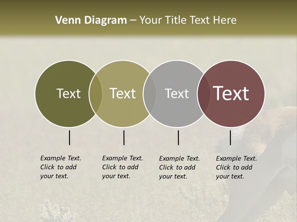 A Gazelle Standing In The Middle Of A Field PowerPoint Template