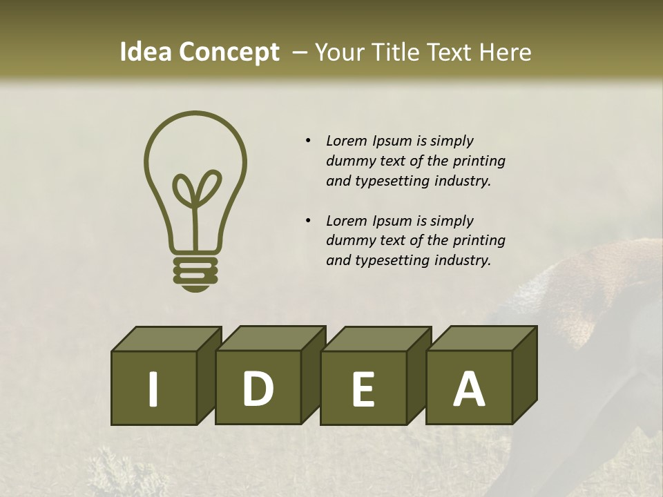 A Gazelle Standing In The Middle Of A Field PowerPoint Template