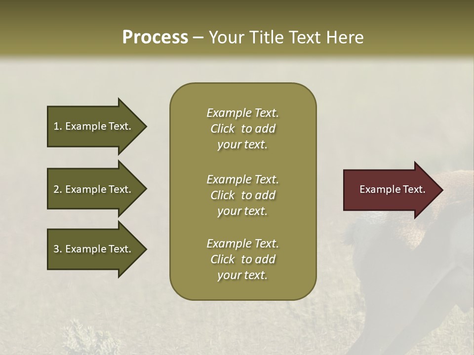 A Gazelle Standing In The Middle Of A Field PowerPoint Template