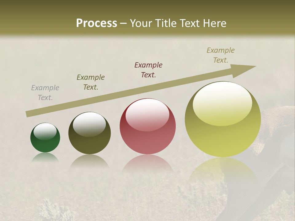 A Gazelle Standing In The Middle Of A Field PowerPoint Template