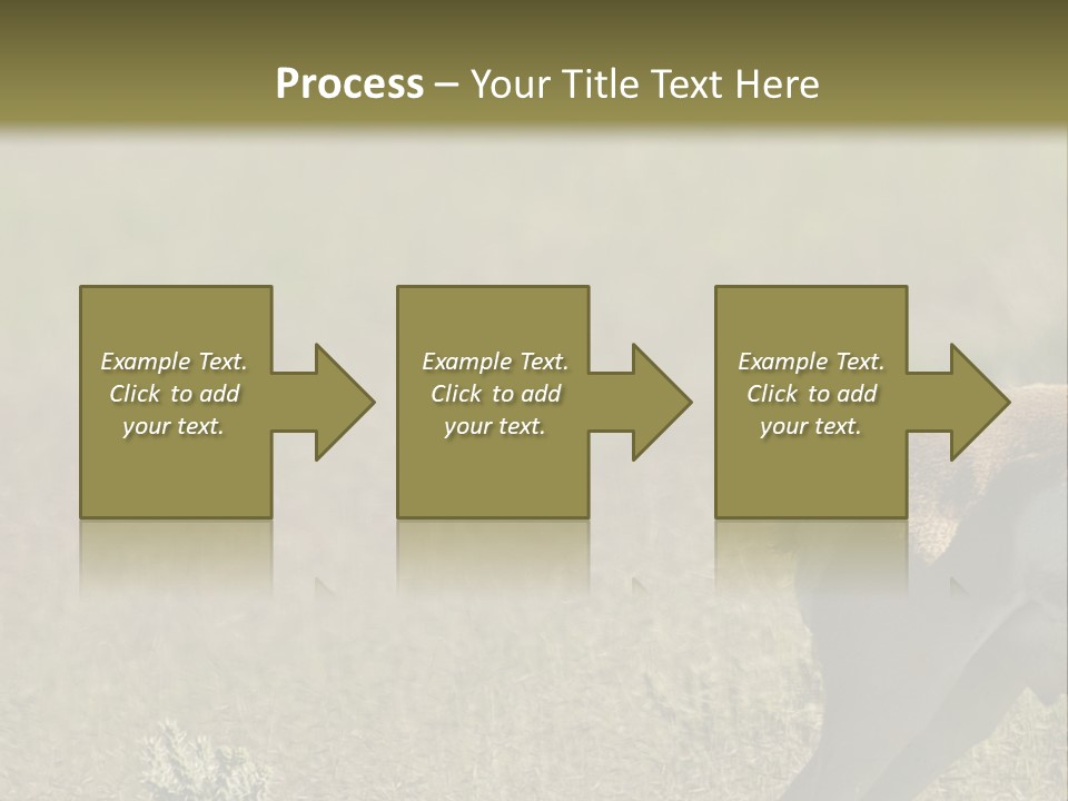 A Gazelle Standing In The Middle Of A Field PowerPoint Template