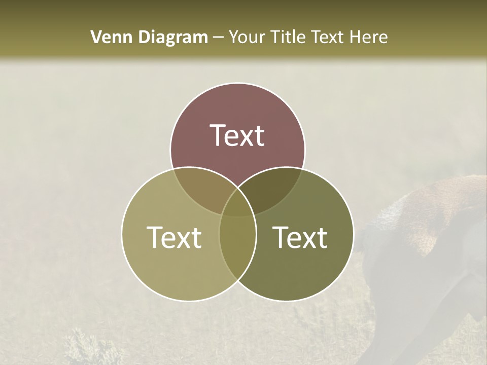 A Gazelle Standing In The Middle Of A Field PowerPoint Template