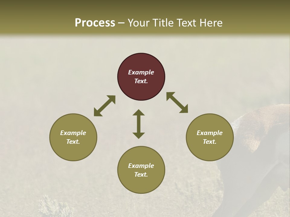 A Gazelle Standing In The Middle Of A Field PowerPoint Template