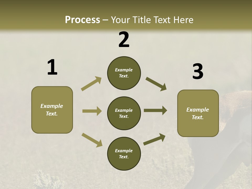 A Gazelle Standing In The Middle Of A Field PowerPoint Template