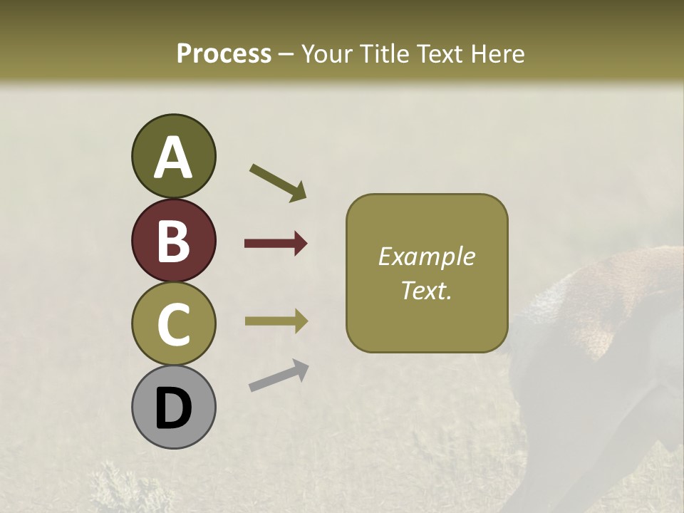 A Gazelle Standing In The Middle Of A Field PowerPoint Template