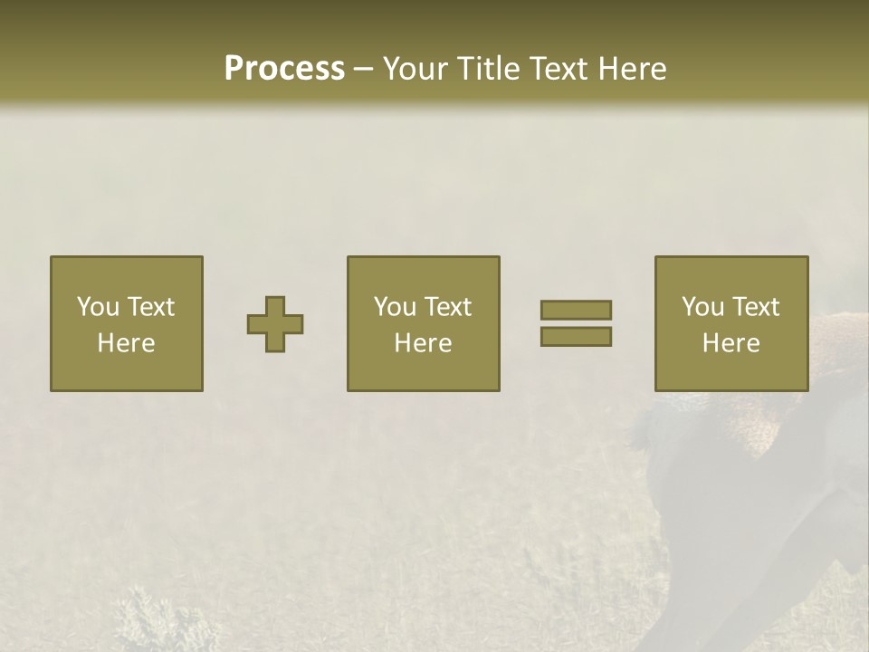 A Gazelle Standing In The Middle Of A Field PowerPoint Template