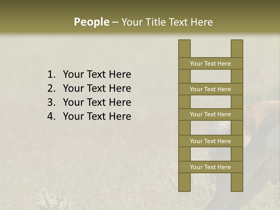 A Gazelle Standing In The Middle Of A Field PowerPoint Template