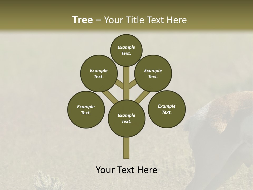 A Gazelle Standing In The Middle Of A Field PowerPoint Template