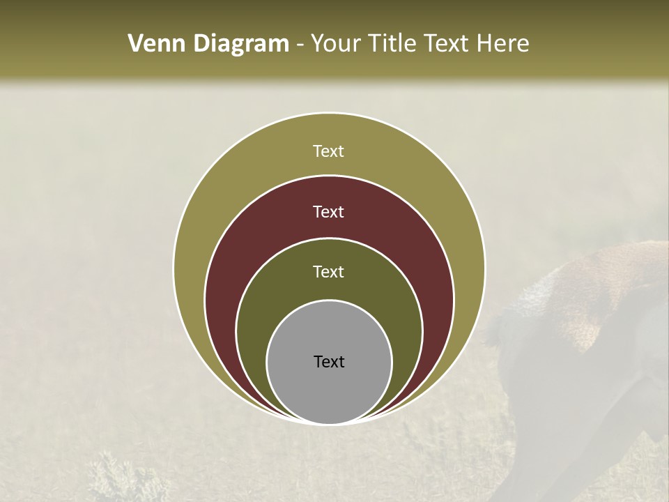A Gazelle Standing In The Middle Of A Field PowerPoint Template