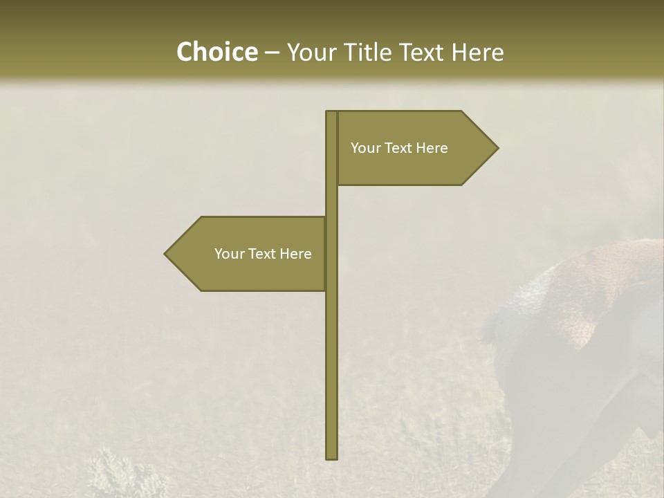 A Gazelle Standing In The Middle Of A Field PowerPoint Template