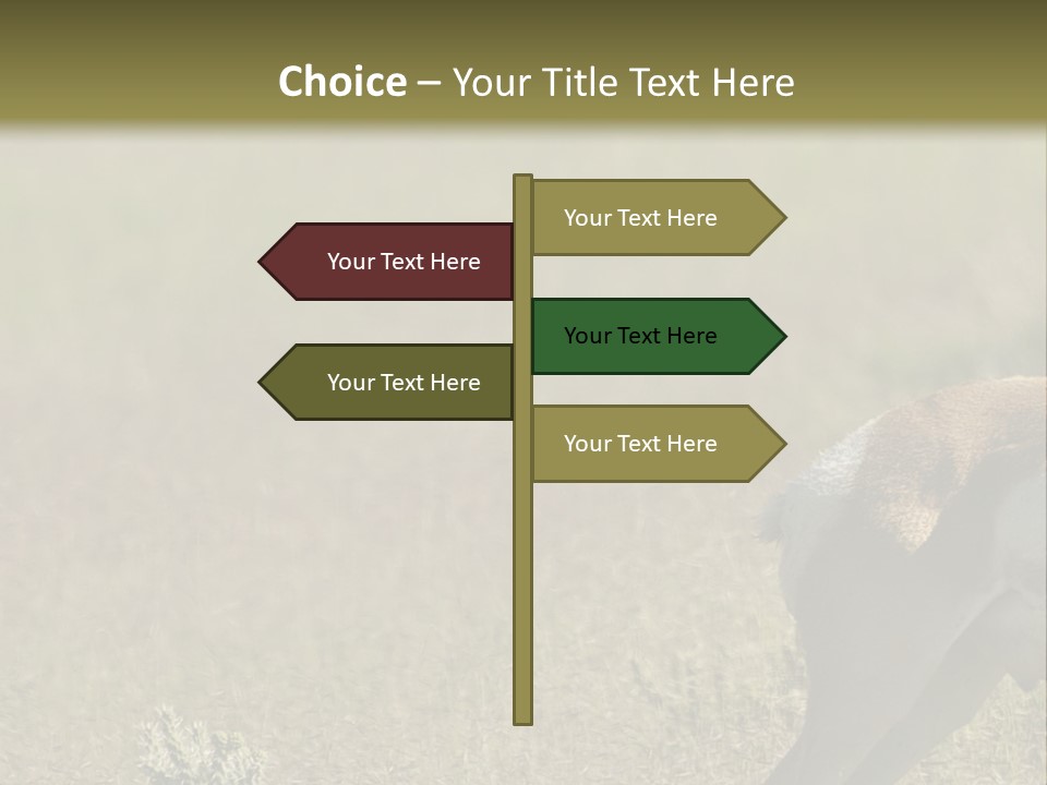 A Gazelle Standing In The Middle Of A Field PowerPoint Template