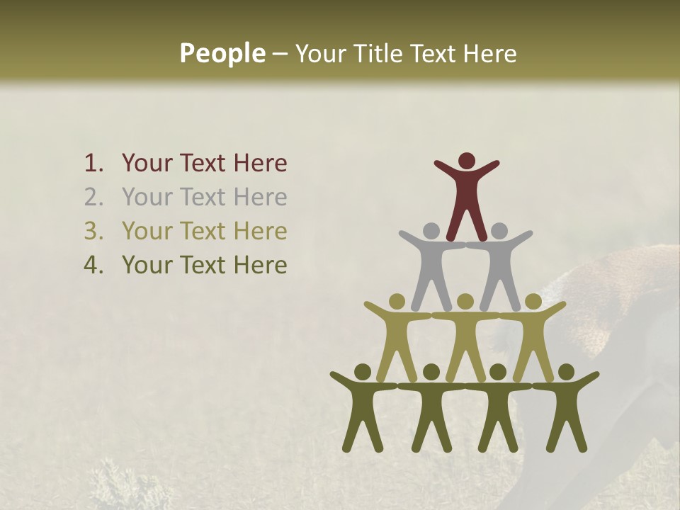 A Gazelle Standing In The Middle Of A Field PowerPoint Template